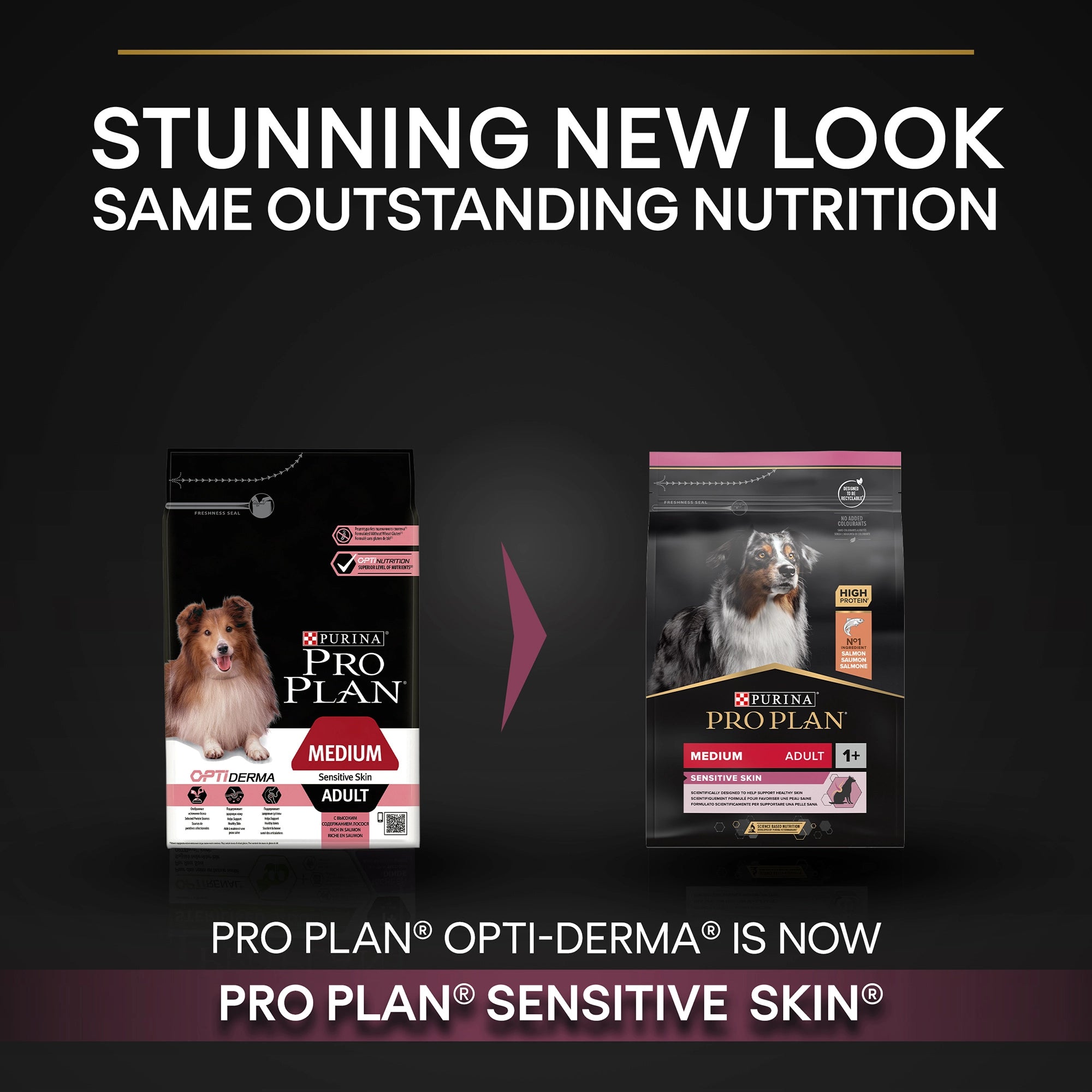 Purina Pro Plan Dry Food Salmon for Medium Adult Dog with Sensitive Skin 3 kg