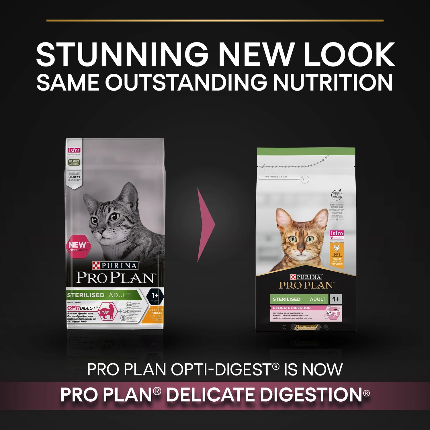 طعام جاف Purina Pro Plan Delicate Digestion بالدجاج للقطط البالغة المعقمة 1.5 كجم