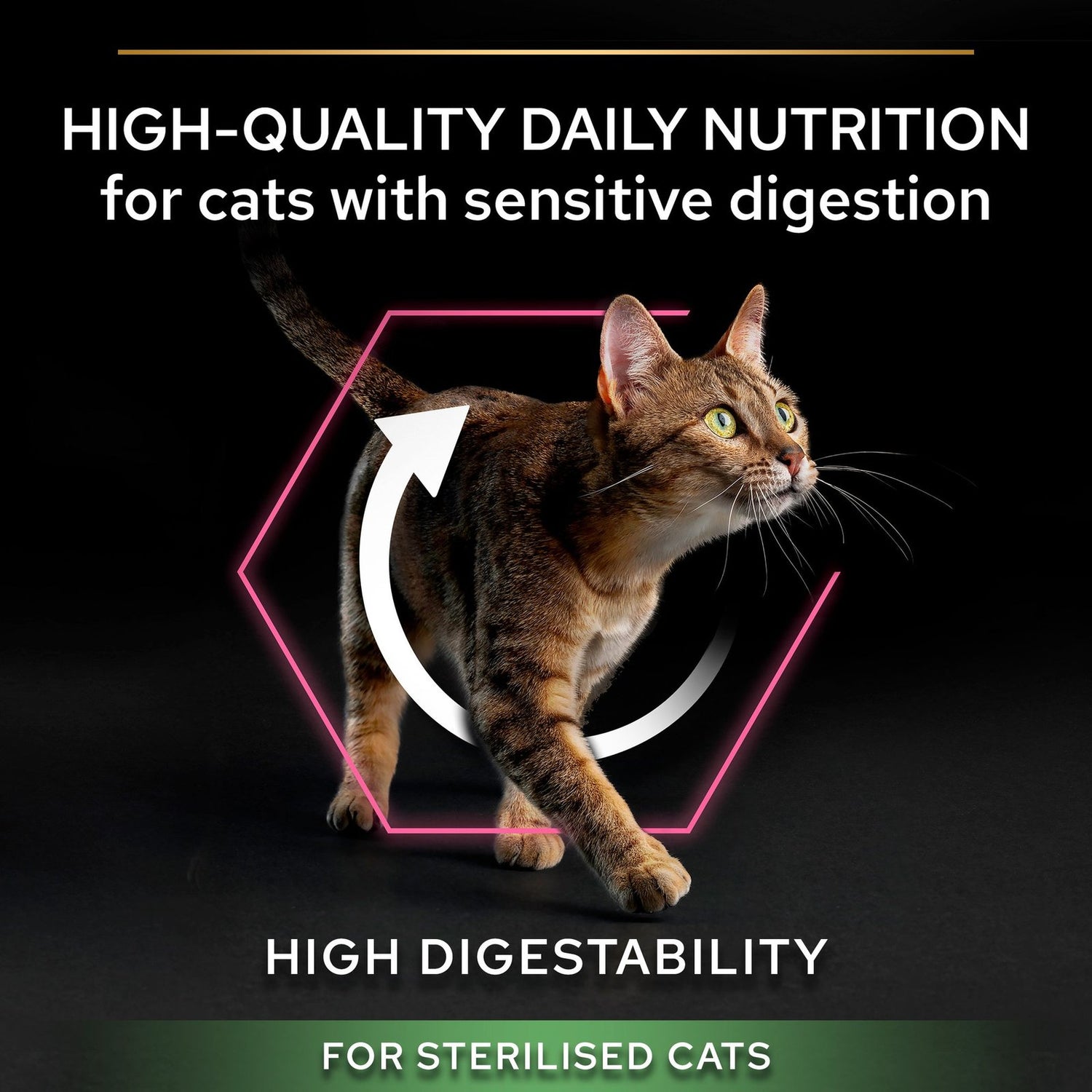 طعام جاف Purina Pro Plan Delicate Digestion بالدجاج للقطط البالغة المعقمة 1.5 كجم