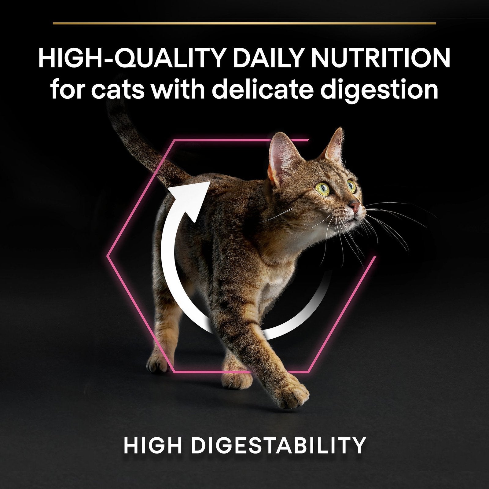 طعام القطط الجاف Purina Pro Plan Adult Delicate Digestion مع لحم الديك الرومي 1.5 كجم