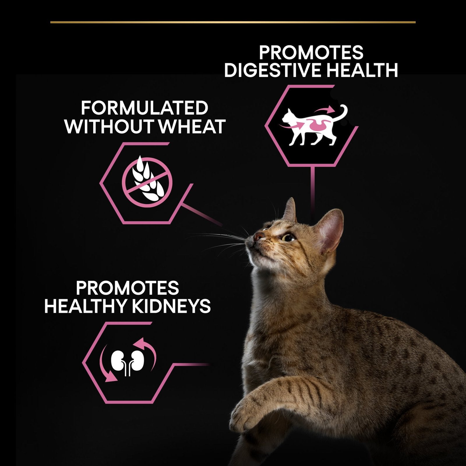 Purina Pro Plan Opti Digest Dry Food with Turkey for Delicate Adult Cats 400 gr