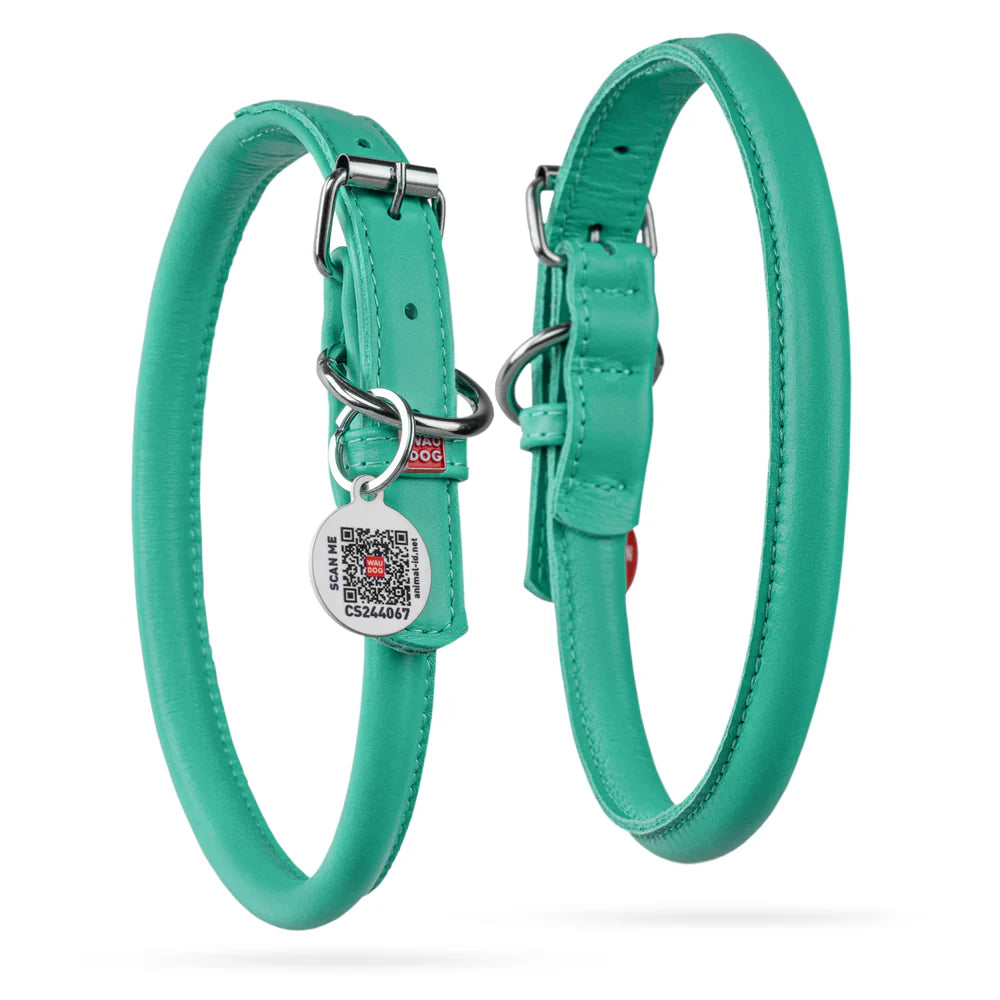 WAUDOG M Rolled Leather Dog Collar MINT with QR 39 to 47 in 1 cm Ziggy Pupps