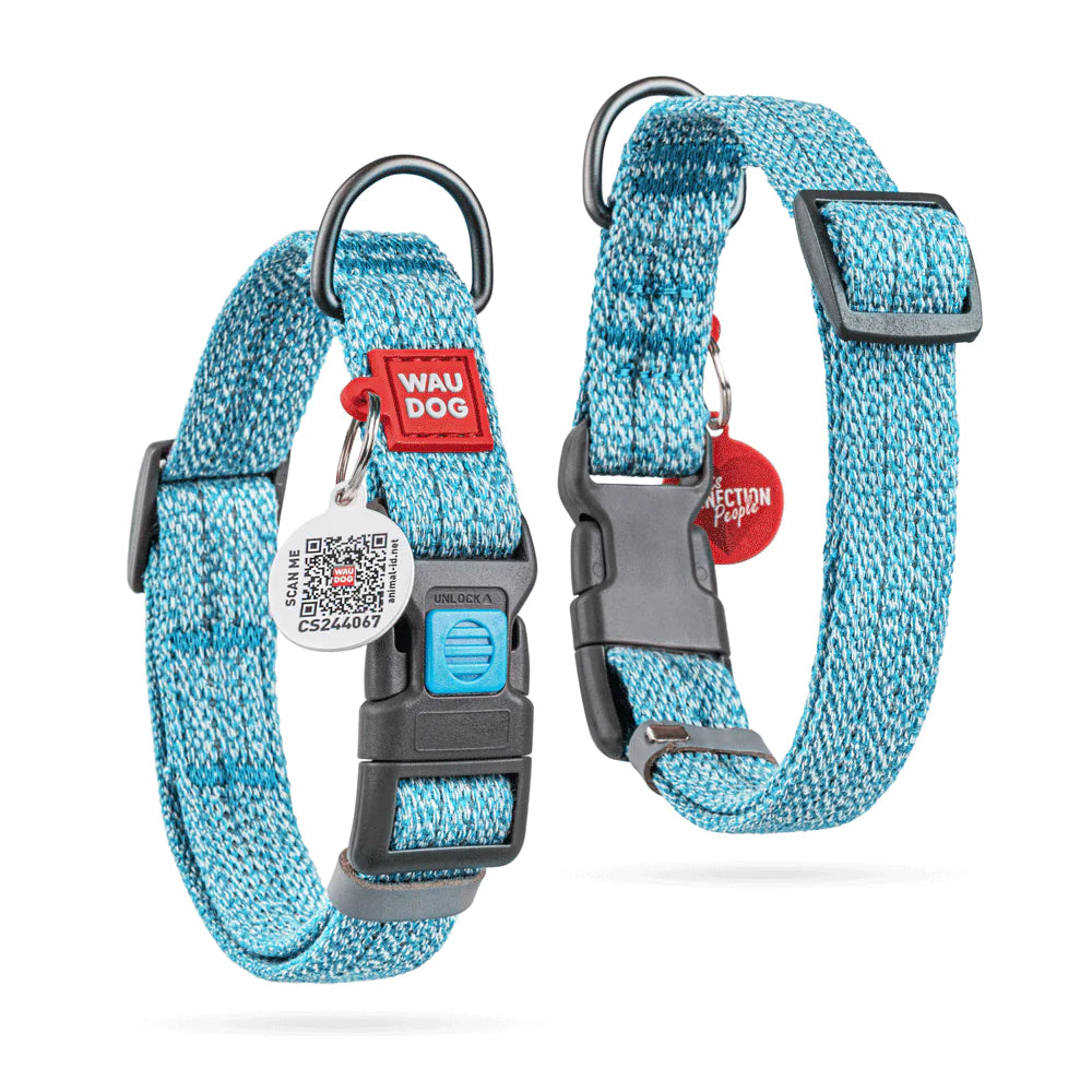 Wau Dog XL Light Blue Dog Collar 38 in 50 to 2.5cm