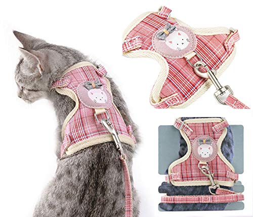 حزام ومقود للقطط على بطاقة من katzen garnitur