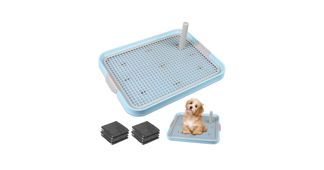Dog Potty training Tray 60x46 cm