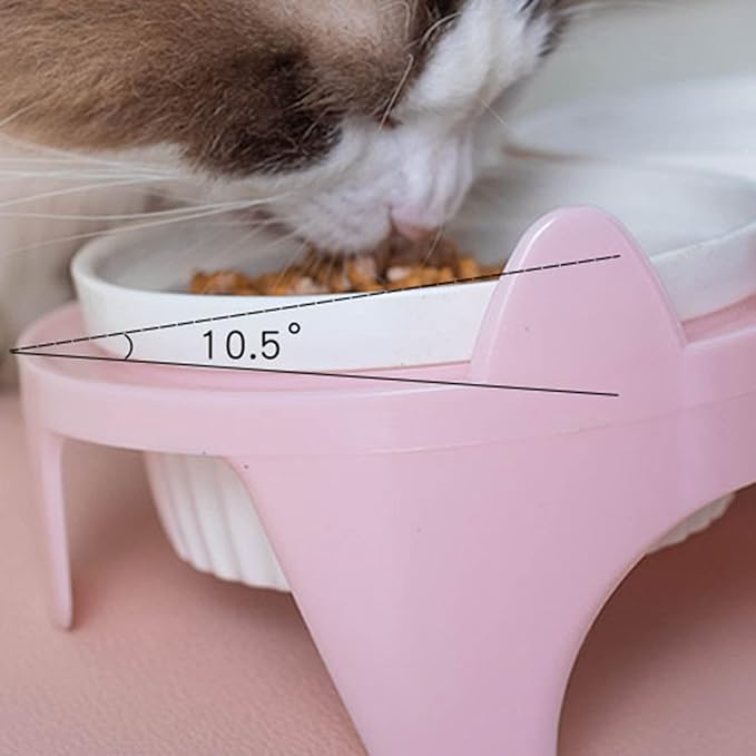 2 bowl water and food For Cat
