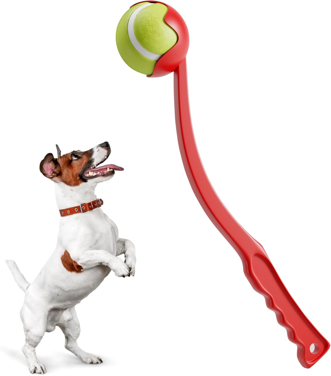 Qasispet Dog Ball Launcher For Dogs