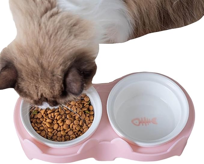 2 bowl water and food For Cat
