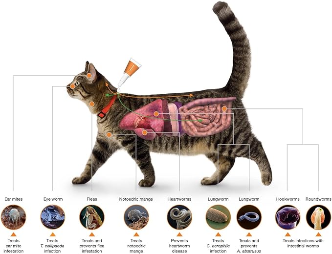 Advocate Spot On Solution for Small Cats Up to 4kg 0.4 ml