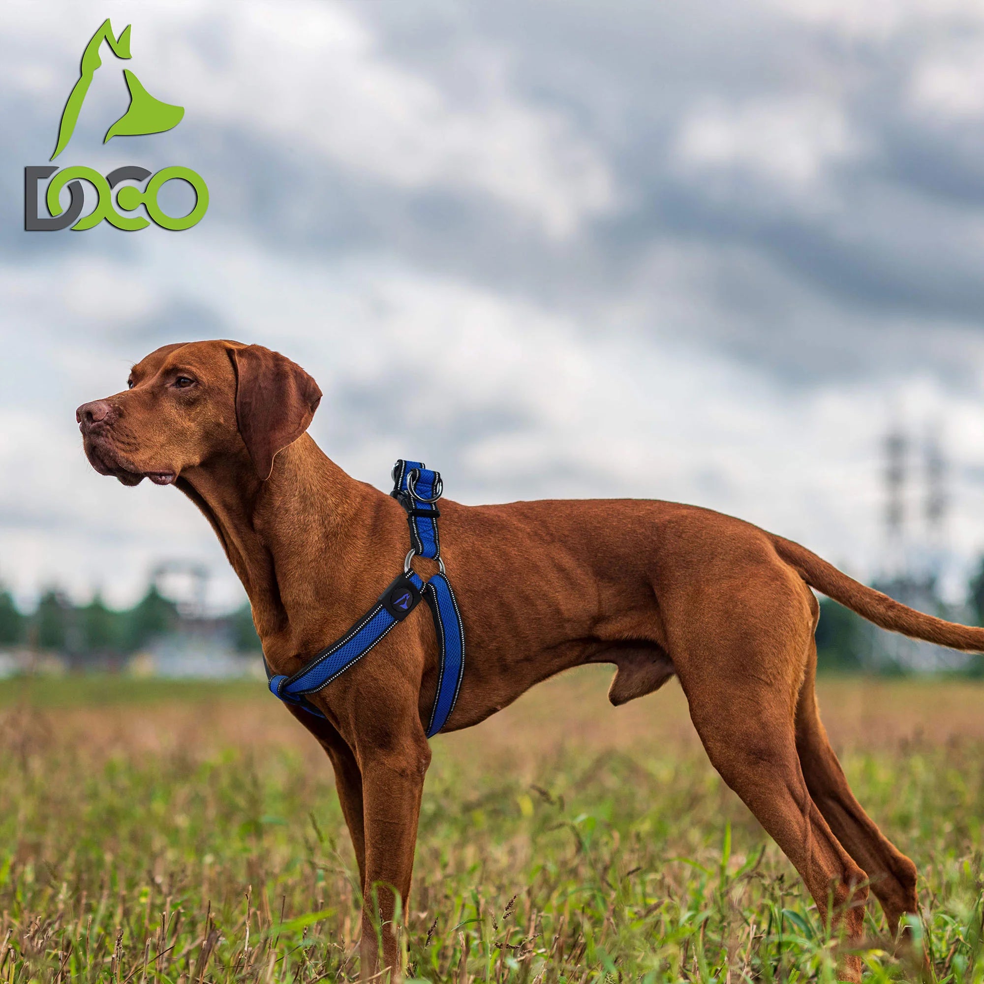 DOCO Large Black Dog Harness 60 to 84 in 3.2cm