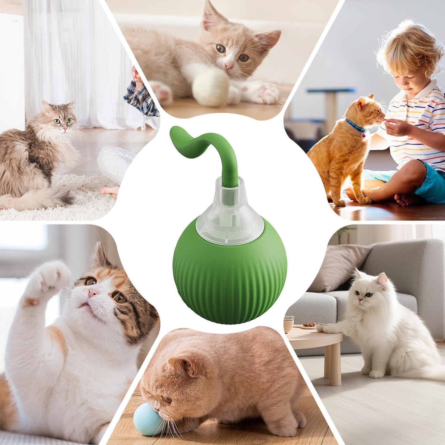 لعبة سمكة الحيوانات الأليفة من CAtyy بتصميم مختلط
