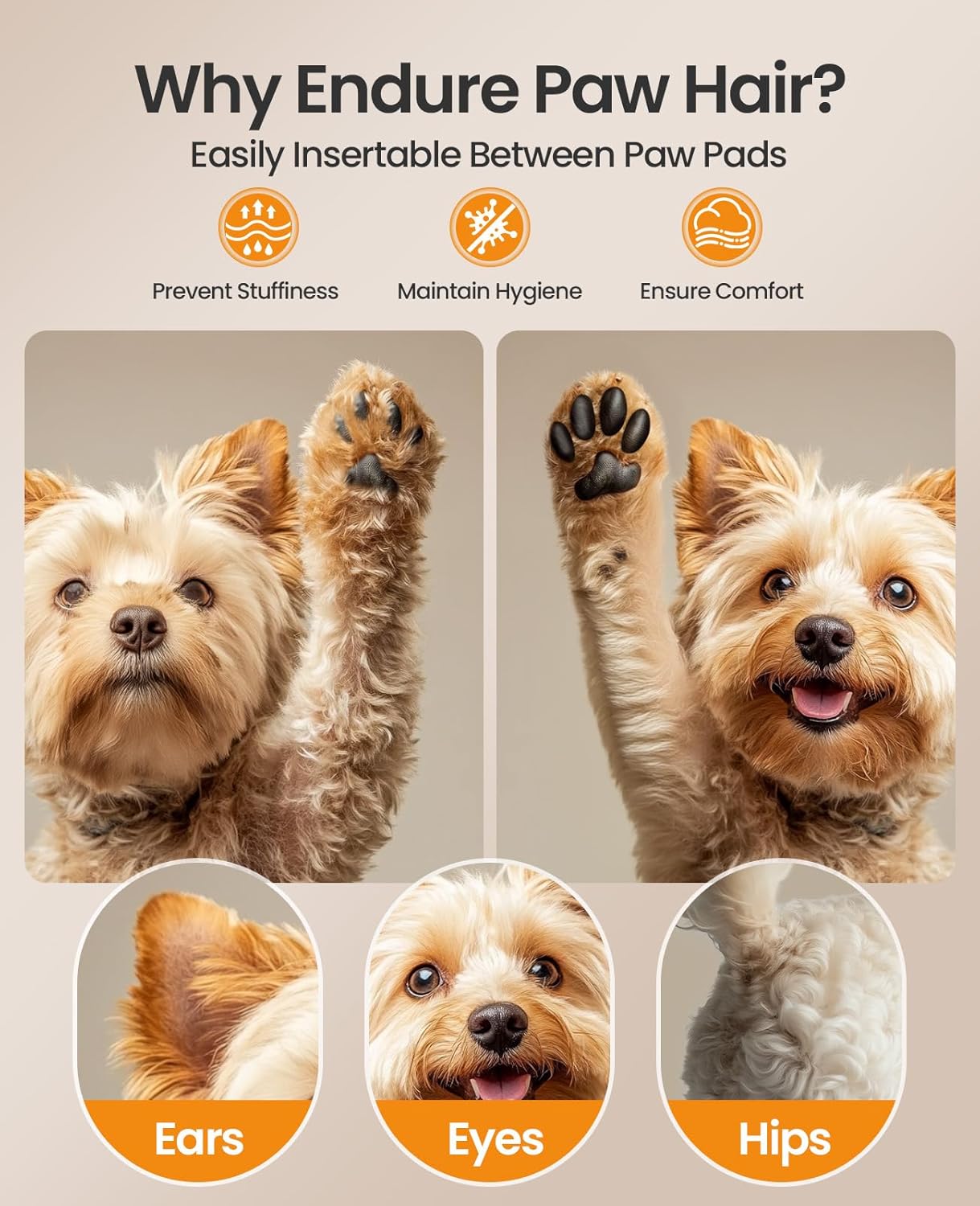 PET HAIR GROOMING KIT