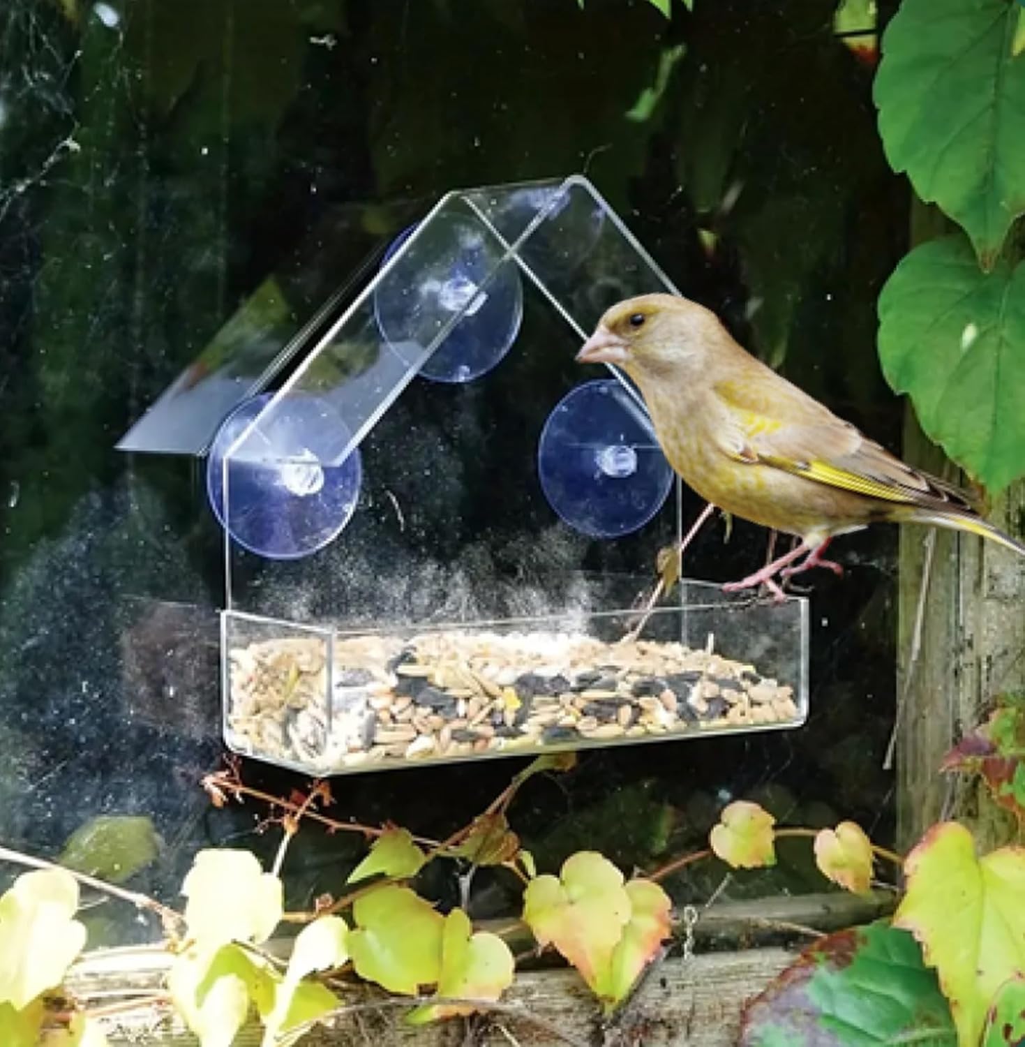 وحدة تغذية الطيور Oakdale Window مع صواني تغذية مزدوجة