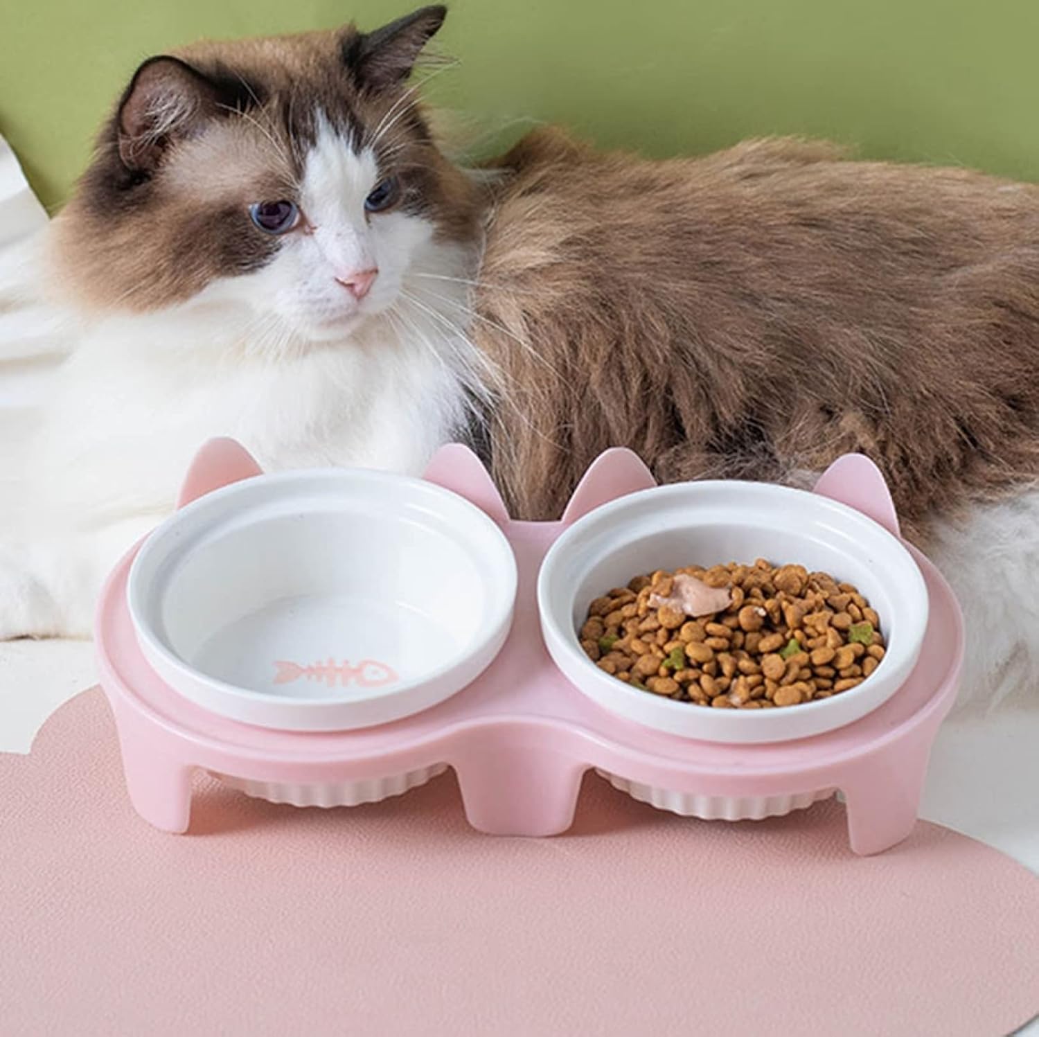 2 bowl water and food For Cat