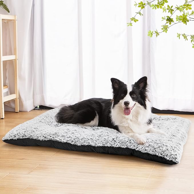 ZooFari XX large Bed For Pets 100 in 70 cm