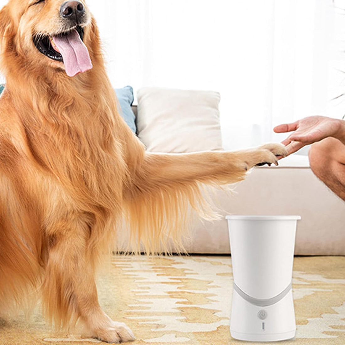 Electric dog claw cleaner