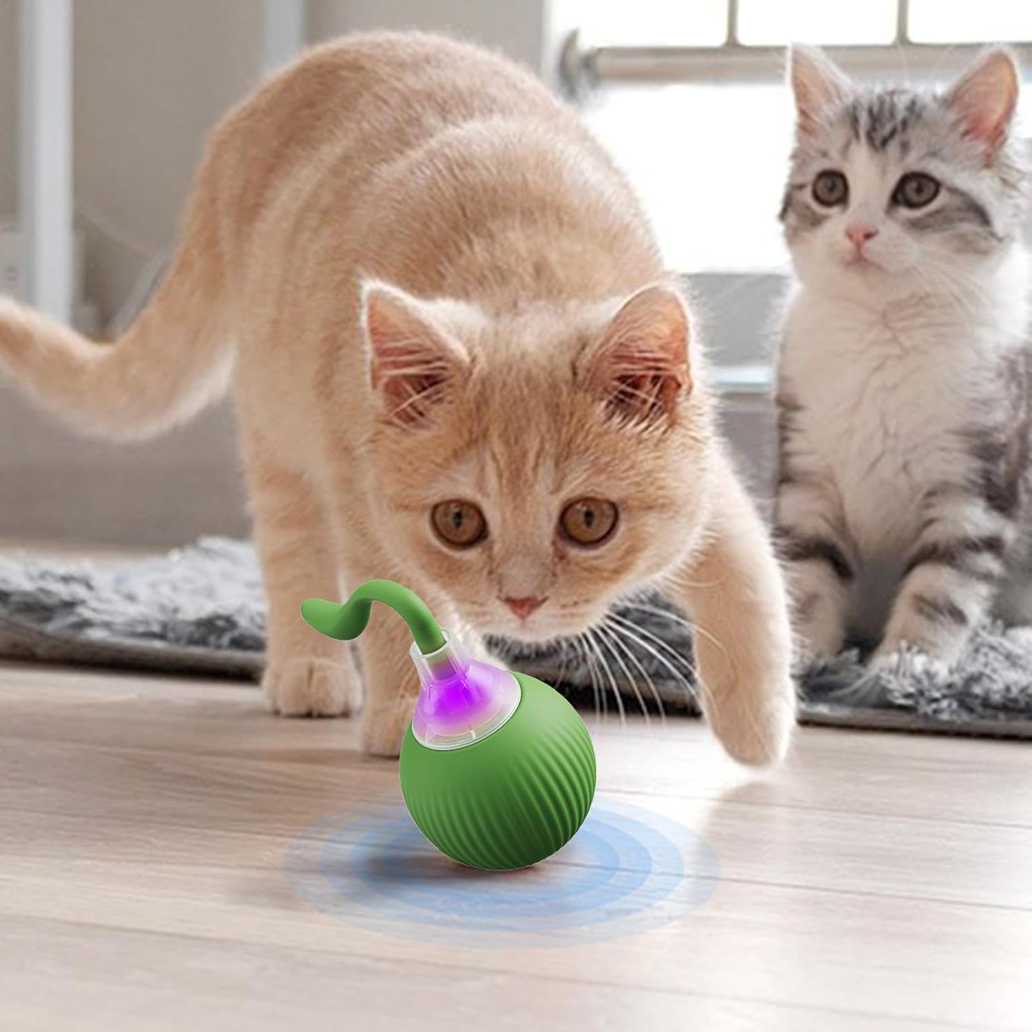لعبة سمكة الحيوانات الأليفة من CAtyy بتصميم مختلط