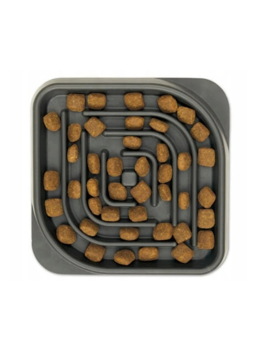 Zoofari dog cat bowl slow eating