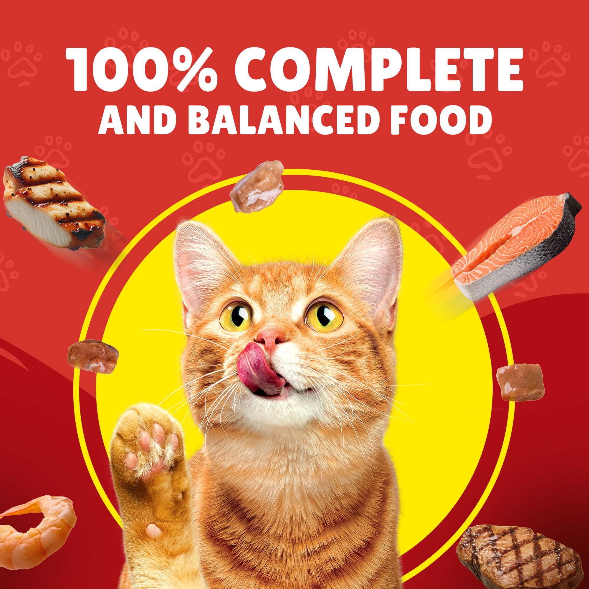 Purina Friskies Adult Cat Wet Food With Turkey In Gravy 85G