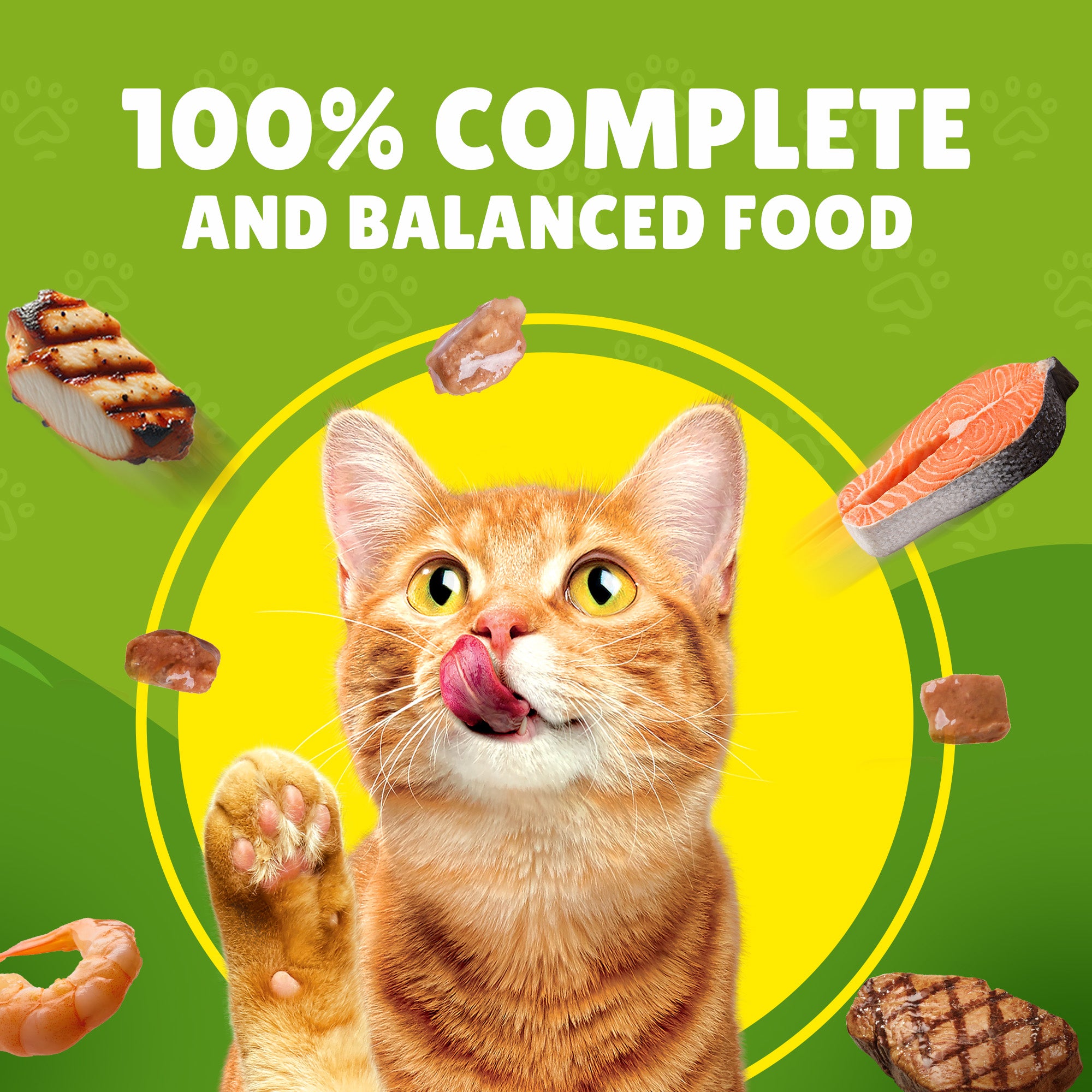 Purina Friskies Wet Cat Food with Chicken in Gravy 85 gr