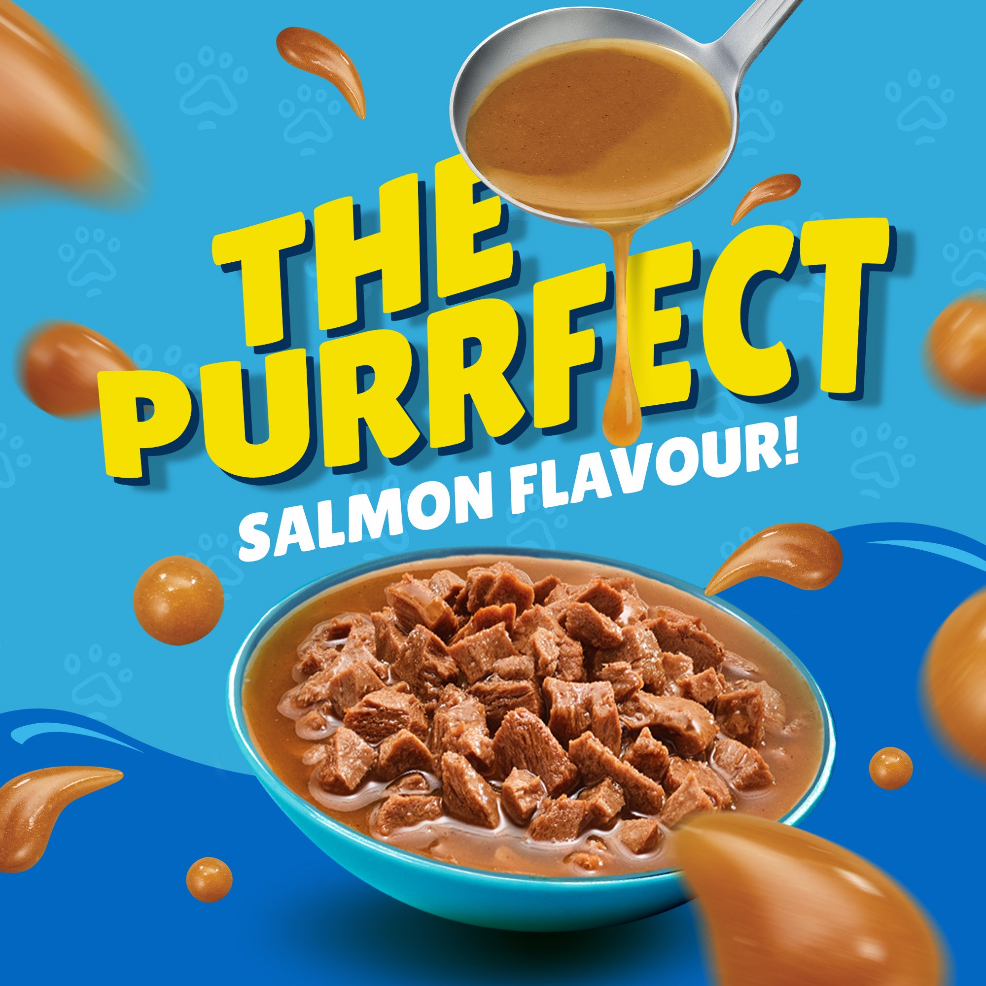 Purina Friskies Salmon In Gravy Pouch 85g