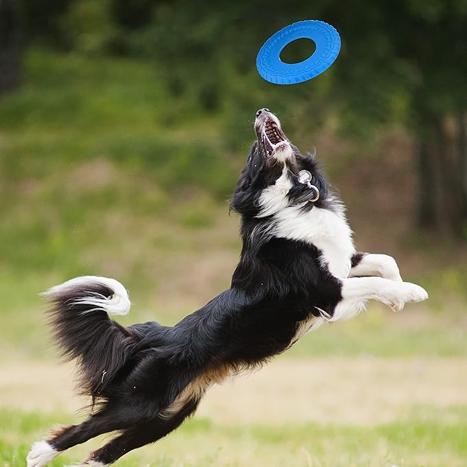 Nerf Dog Flyer Toy