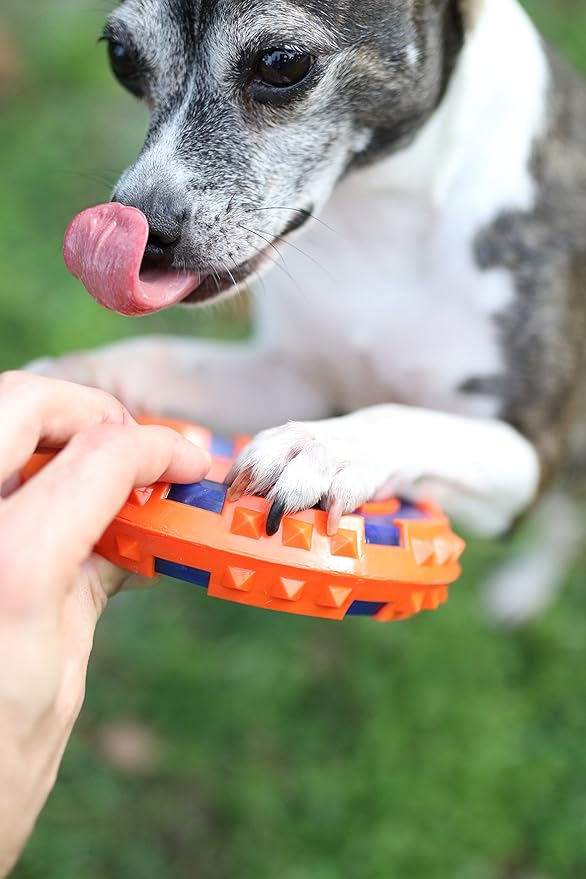 لعبة دوغيز المطاطية الحمراء على شكل مرساة للكلاب