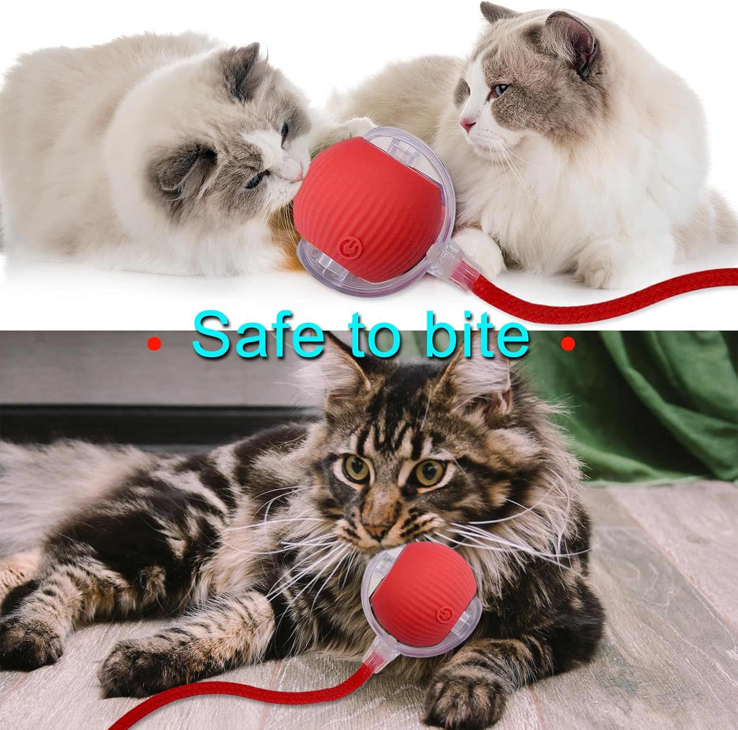 لعبة سمكة الحيوانات الأليفة من CAtyy بتصميم مختلط