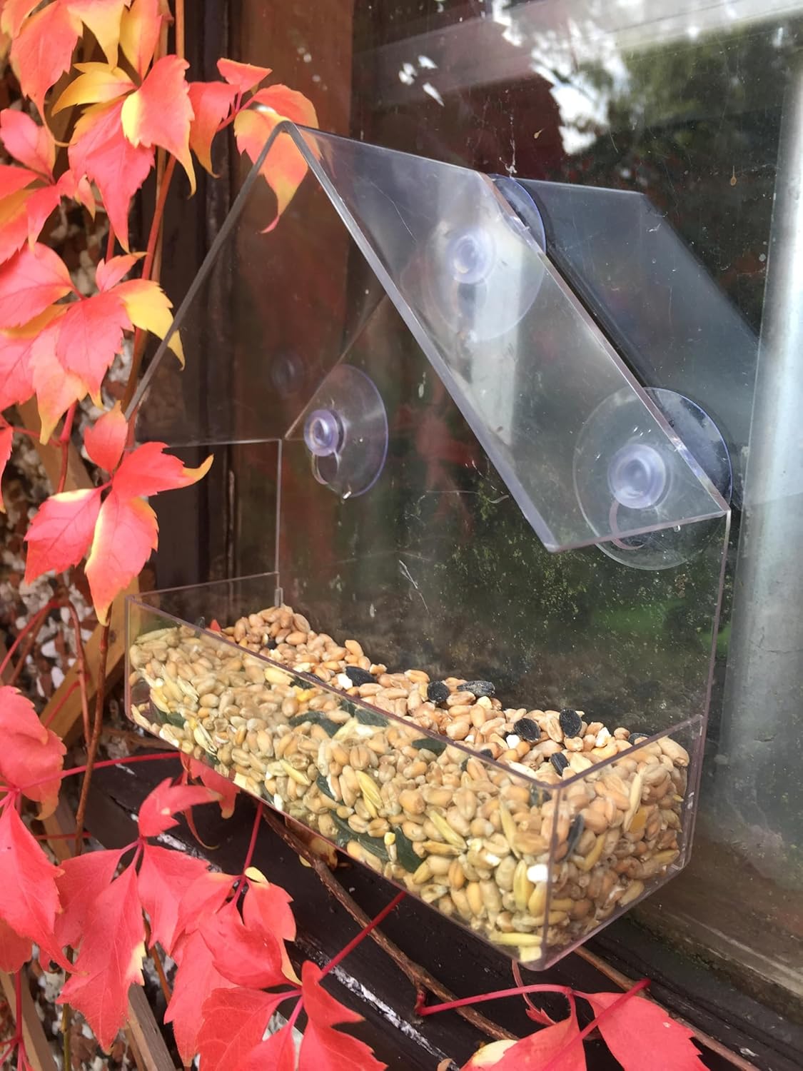 وحدة تغذية الطيور Oakdale Window مع صواني تغذية مزدوجة