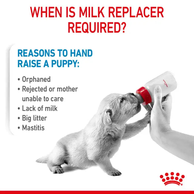 Royal Canin Baby Dog Instant Milk Powder with DHA for All Breeds 0-2 Months 400 gr