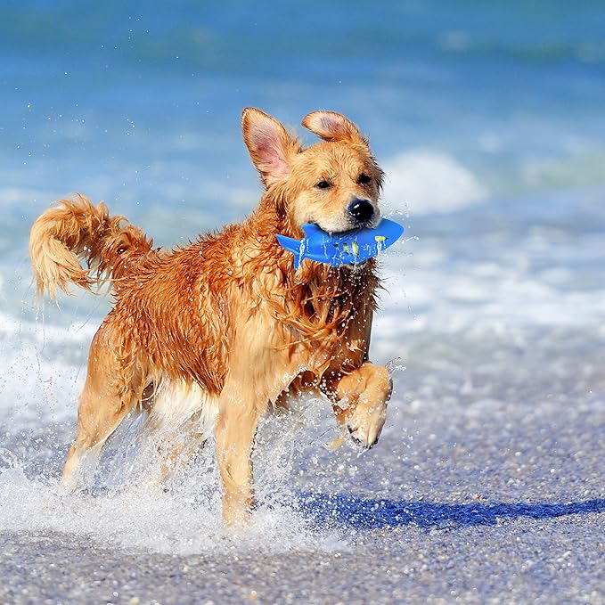 Nerf Dog Fish Toy