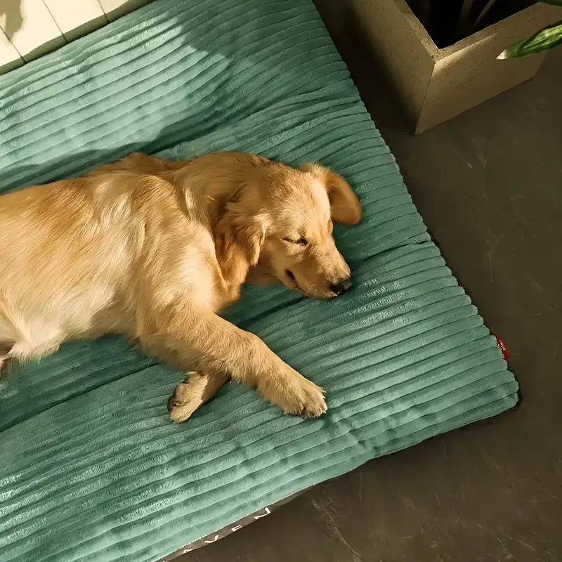 ZooFari XX large Bed For Pets 100 in 70 cm