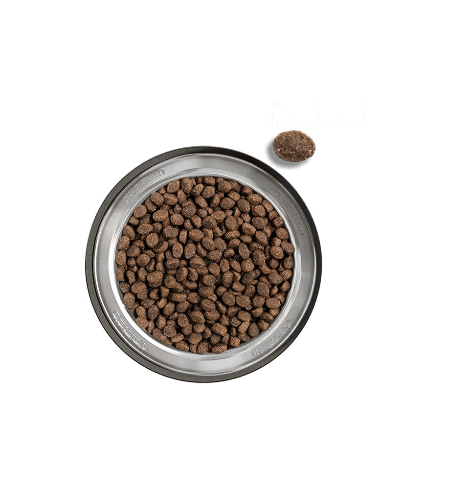 Belcando Puppy Dry Food In Gravy XS-XL 4 kg