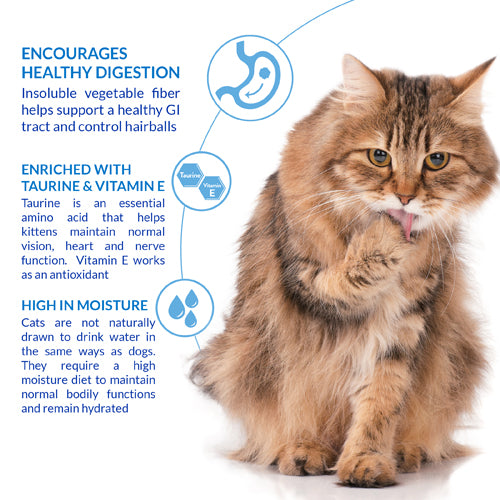 Inaba Churu Hairball Control Cat Treats Paste with Chicken 4 in 14 gr