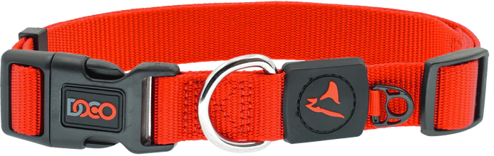 DOCO XS Orange Nylon Dog Collar 15 to 25 in 1cm