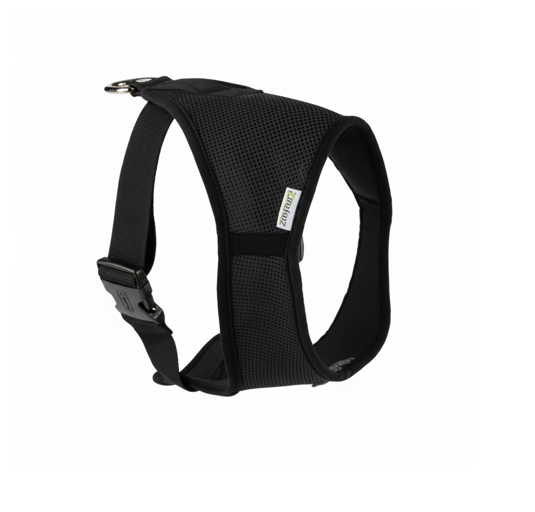 Zoofari Dog Harness Soft Harness XS black approx 34- 36 cm
