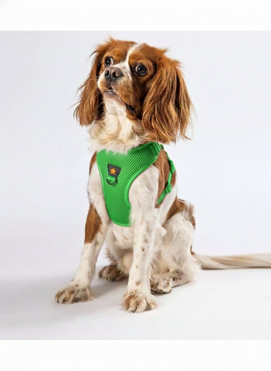 Pawstar Medium Green Air Mesh Dog Harness Neck 32 -34 cm And Waist 44-48 cm