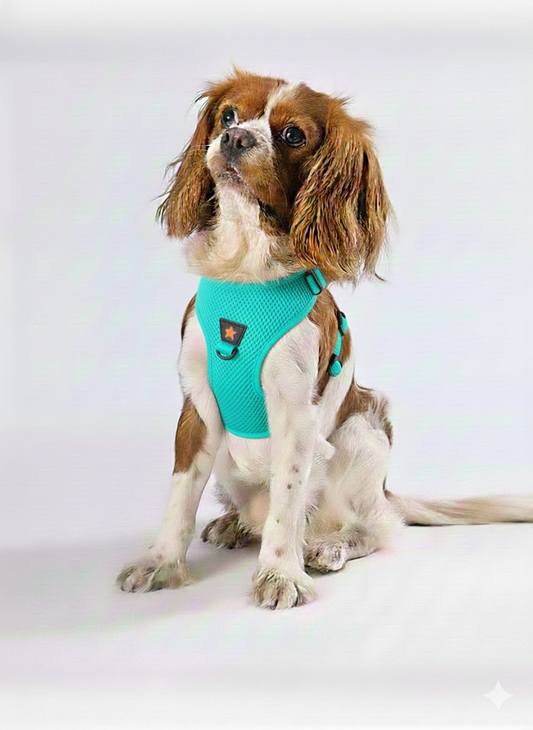 Pawstar 3XS Turquoise Air Mesh Dog Harness Neck 20-24cm And Waist 24 - 28 cm
