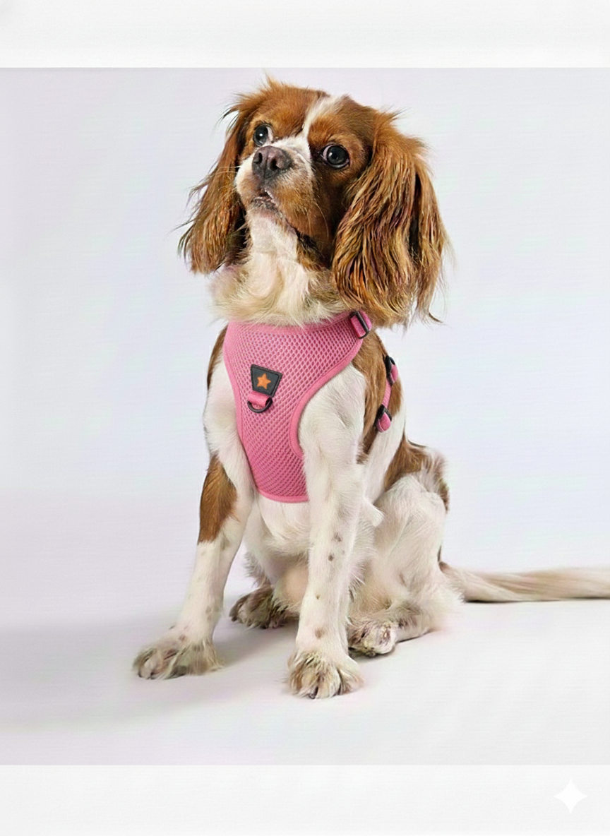 Pawstar 3XS Pink Air Mesh Dog Harness Neck 20-24cm And Waist 24 - 28 cm