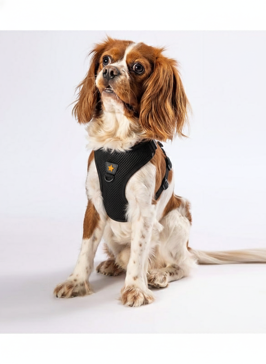 Pawstar Black 3XS Air Mesh Dog Harness Neck 20-24cm And Waist 24-28cm