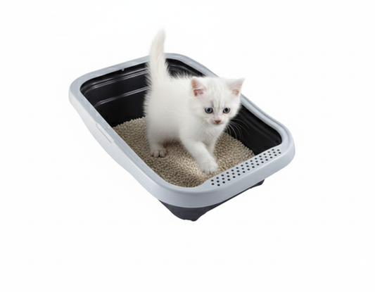 MPS2 Nella Black And Gray Cat Litter Tray with Rim 58x37.5x18cm