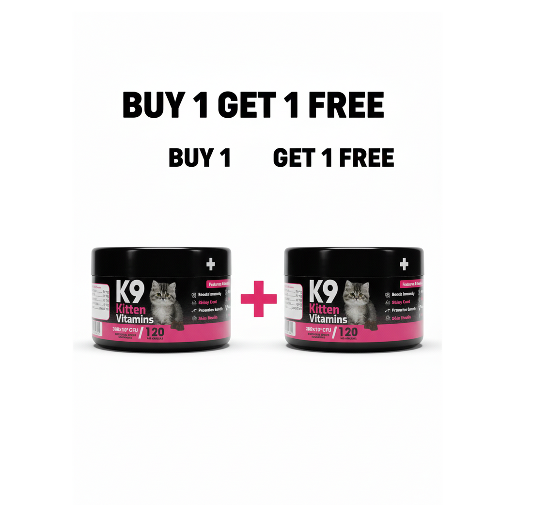 K9 Supplement For Cats Kitten 60 Pcs buy One Get One Free