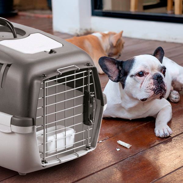 صندوق ستيفان بلاست جاليفر للحيوانات الأليفة مقاس 2