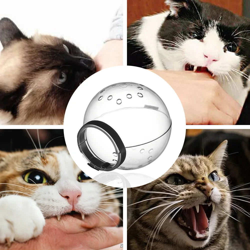 Cat Space Hood Anti Bite And Anti Break for small cats