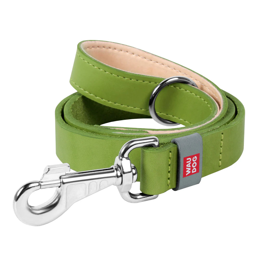 WAUDOG small to Large Green Dog Leash 122 in 2 cm Ziggy Pupps