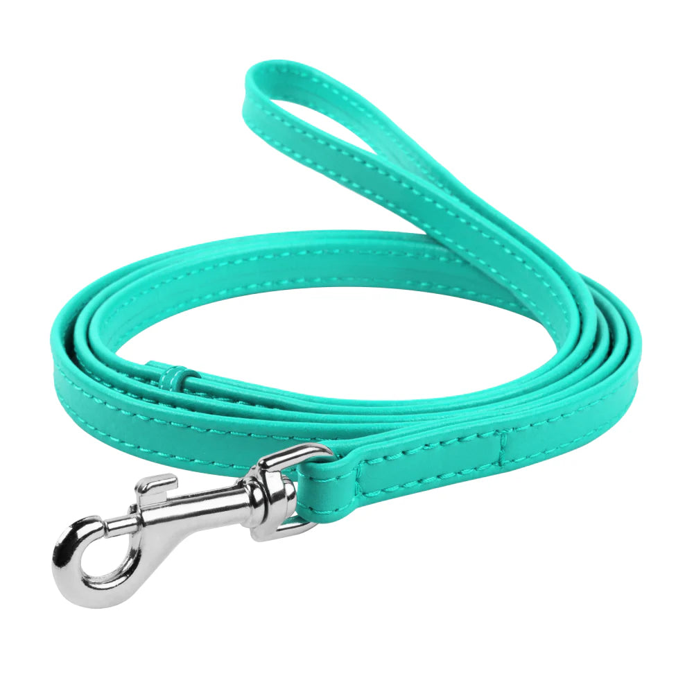 WAUDOG Glamour Large to 2XL Light Blue Dog Leash 122 in 2.5cm