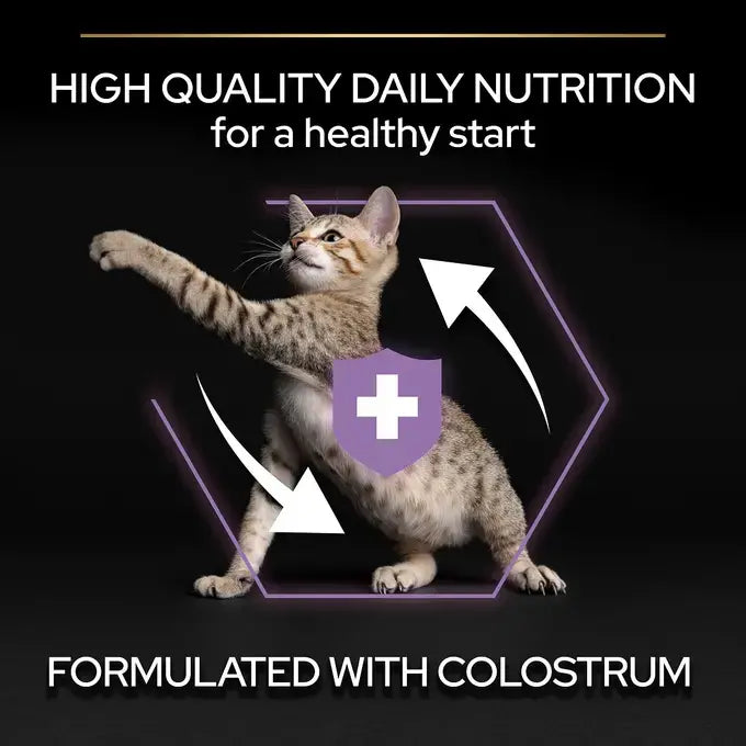 طعام جاف Purina Pro Plan Healthy Start بالدجاج للقطط الصغيرة (حتى سنة واحدة) 1.5 كجم