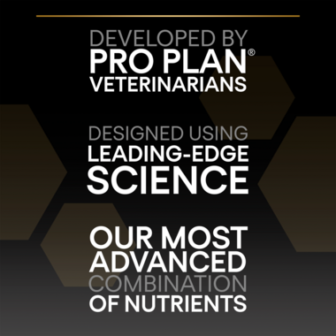 Purina Pro Plan Everyday Nutrition Dry Food with Chicken for Large Athletic Adult Dogs 14 kg