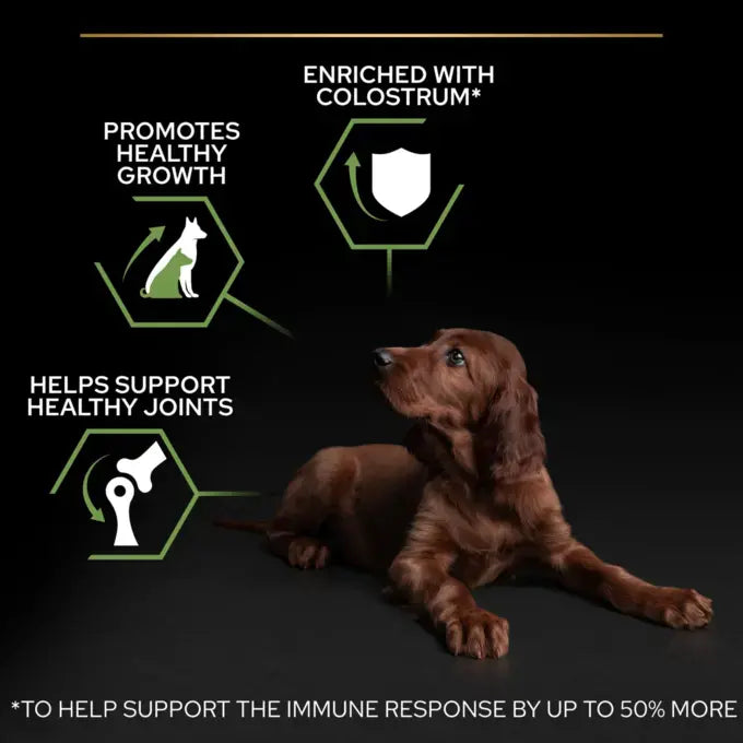 طعام جاف Purina Pro Plan Healthy Start بالدجاج للجراء الرياضية من السلالات الكبيرة 12 كجم