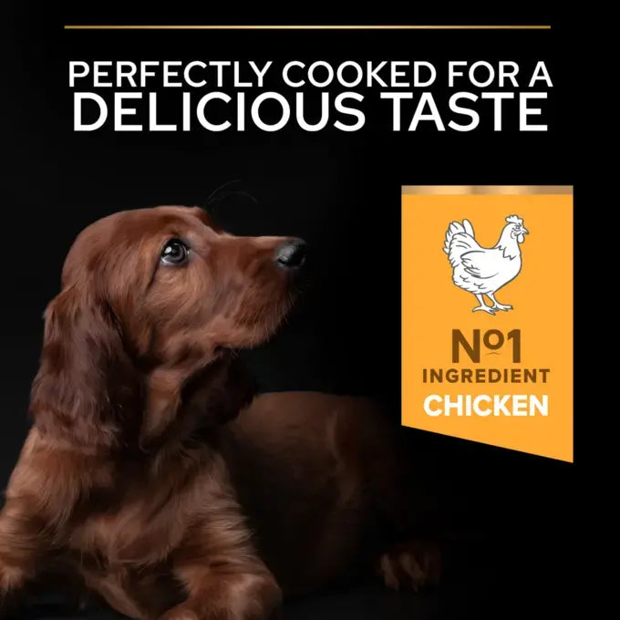 Purina Pro Plan Healthy Start Dry Food with Chicken for Athletic Large Breed Puppies 12 kg